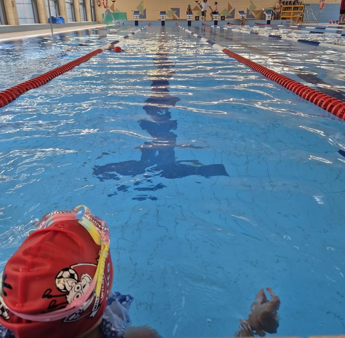 🏊♂️🏊♀️🏊 – Zajęcia z nauki pływania z Wilkami! – 🏊♂️🏊♀️🏊 🏊♂️🏊♀️🏊 – Zajęcia z nauki pływania z Wilkami! – 🏊♂️🏊♀️🏊