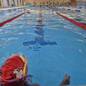 🏊‍♂️🏊‍♀️🏊 – Zajęcia z nauki pływania z Wilkami! – 🏊‍♂️🏊‍♀️🏊